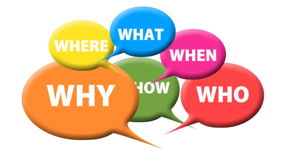 Questions to Ask Carpet Cleaning Companies Dream Steam Carpet Cleaning