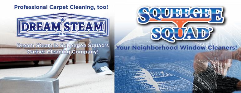 carpet cleaning and window washing
