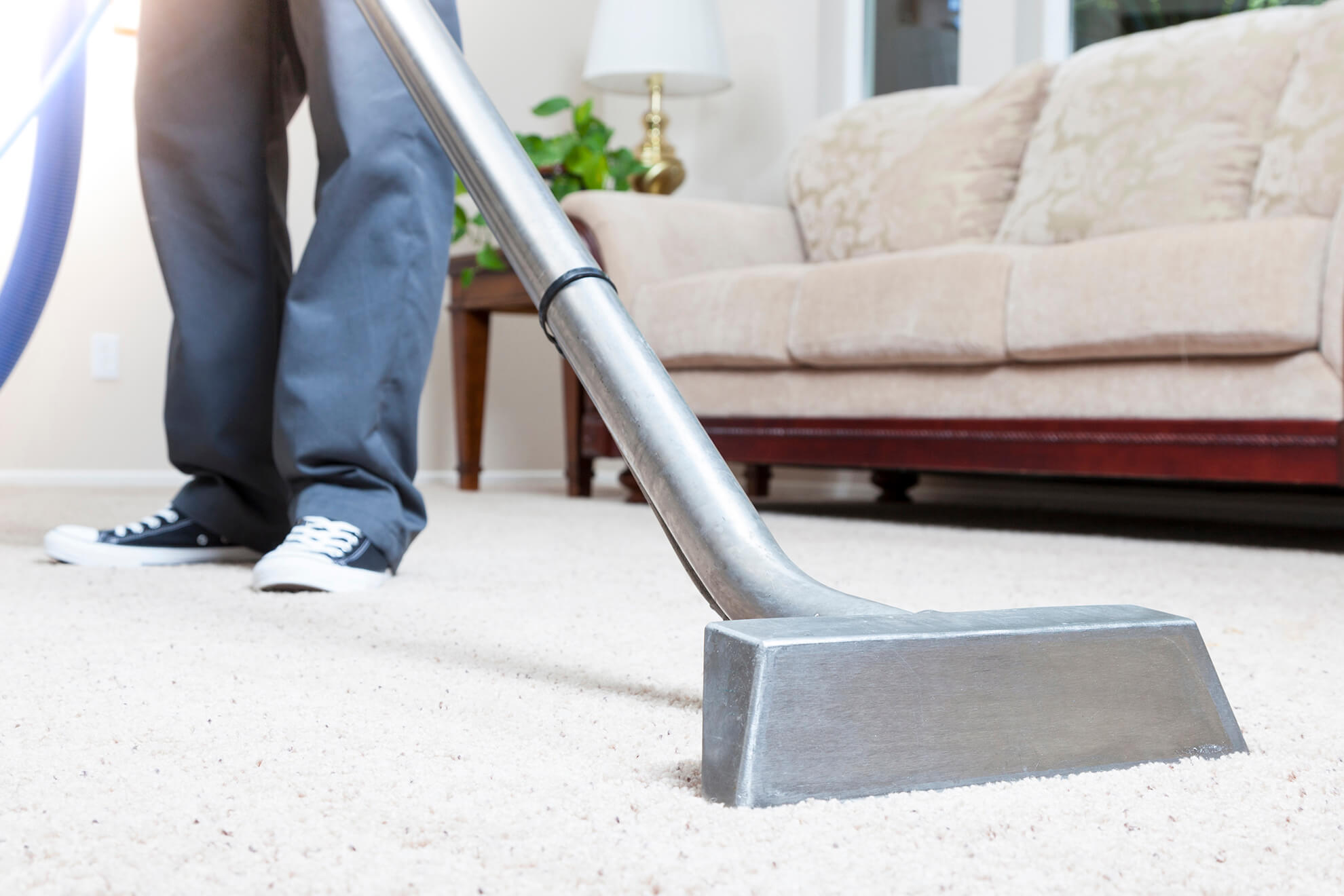 carpet and rug cleaning