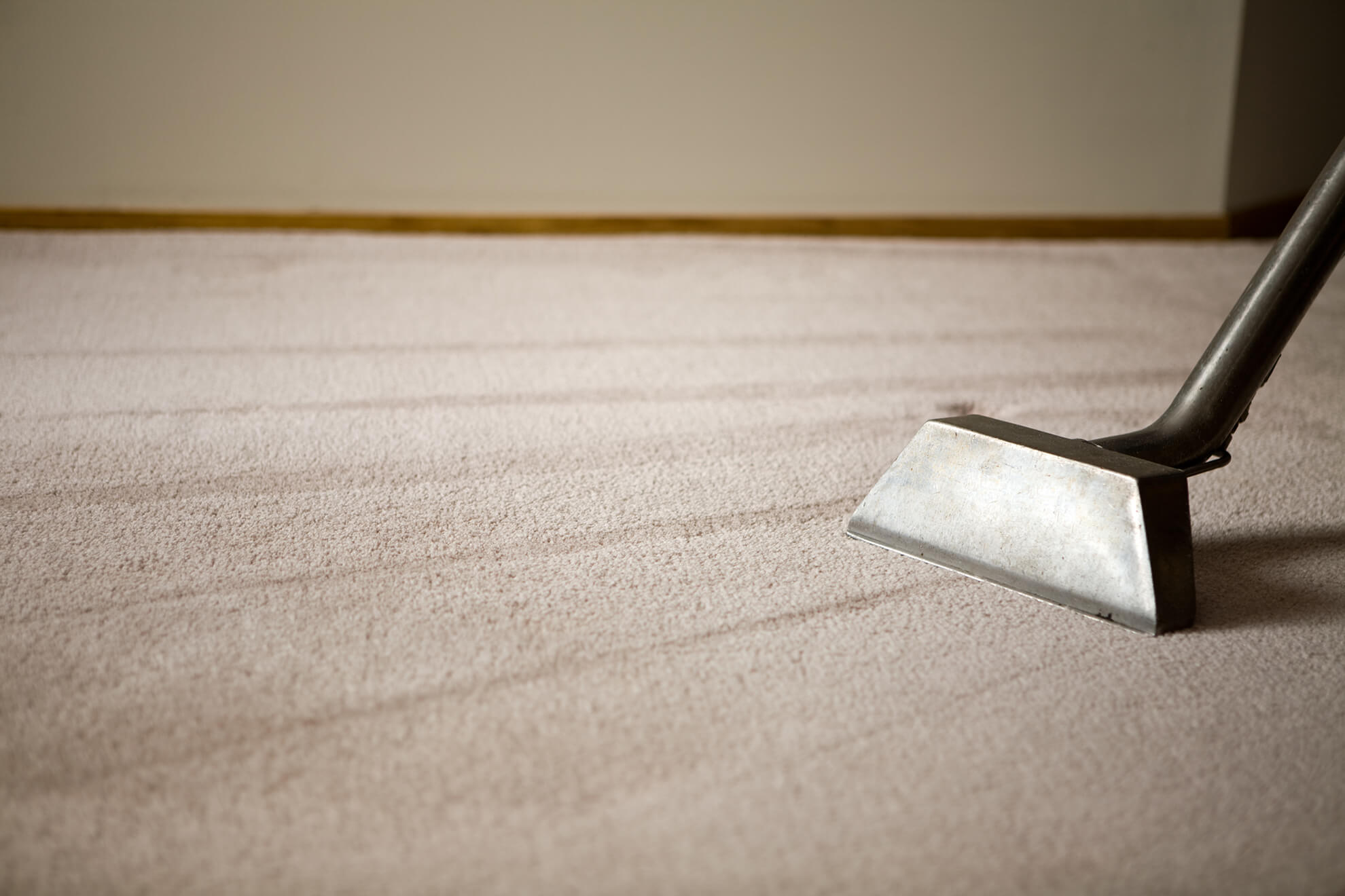 https://www.dreamsteammn.com/assets/images/photos/carpet-cleaning-header.jpg