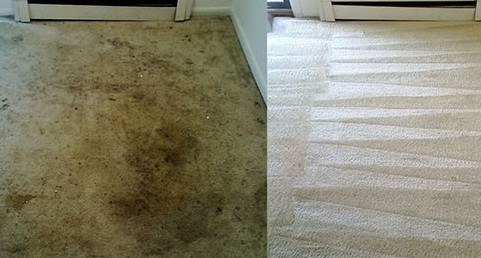 Professional Carpet Cleaning Before and After Photos - Dream Steam Carpet  Cleaning Service