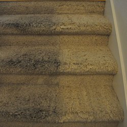 rising star carpet cleaning ipswich ma
